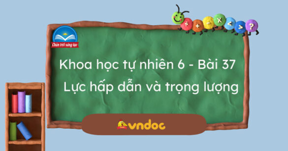 Khoa học tự nhiên 6 Bài 37: Lực hấp dẫn và trọng lượng