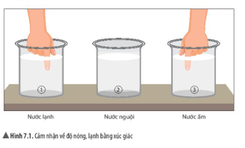 Giải KHTN lớp 6 bài 7