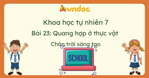 Khoa học tự nhiên 7 Bài 23: Quang hợp ở thực vật Chân trời sáng tạo