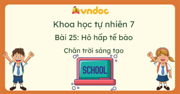 Khoa học tự nhiên 7 Bài 25: Hô hấp tế bào CTST