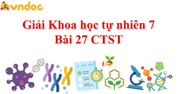 Khoa học tự nhiên 7 Bài 27: Trao đổi khí ở sinh vật