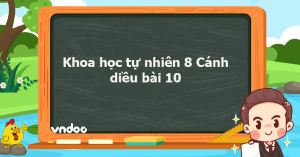 Khoa học tự nhiên 8 Cánh diều bài 10 trang 55, 56, 57, 58