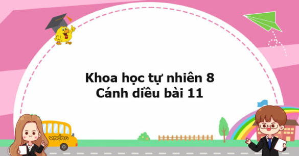 Khoa học tự nhiên 8 Cánh diều bài 11 trang 59, 60, 61