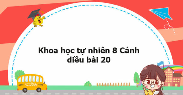 Khoa học tự nhiên 8 Cánh diều bài 20 trang 99, 100, 101