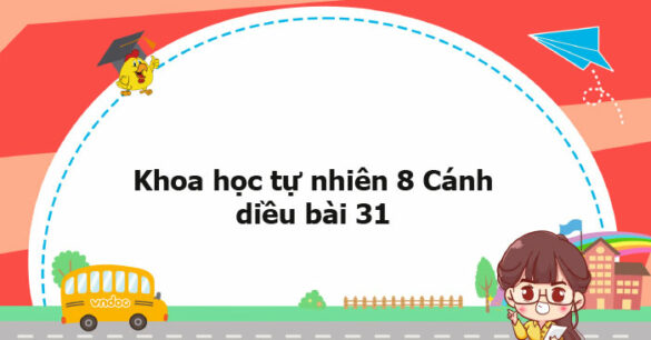 Khoa học tự nhiên 8 Cánh diều bài 31 trang 149, 150, 151