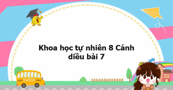 Khoa học tự nhiên 8 Cánh diều bài 7 trang 41, 42, 43, 44, 45