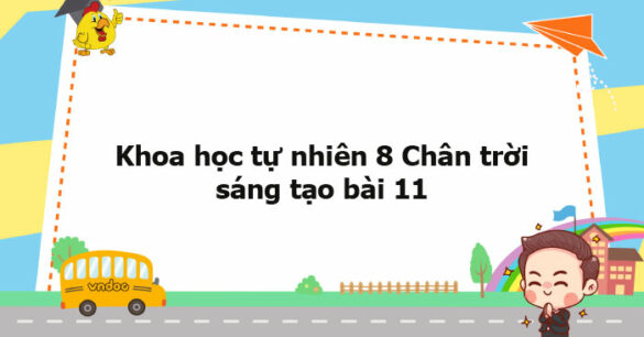 Khoa học tự nhiên 8 Chân trời sáng tạo bài 11 trang 53, 54, 55