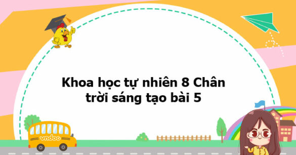 Khoa học tự nhiên 8 Chân trời sáng tạo bài 5 trang 27, 28, 29, 30, 31