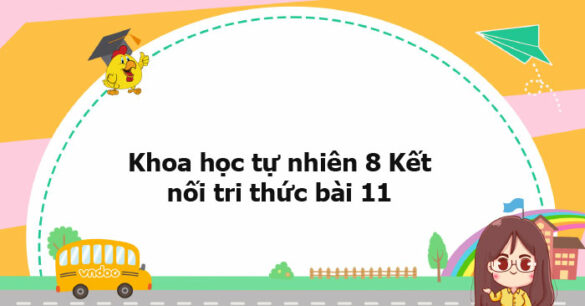 Khoa học tự nhiên 8 Kết nối tri thức bài 11 trang 48, 49, 50, 51, 52