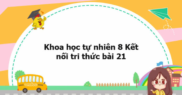 Khoa học tự nhiên 8 Kết nối tri thức bài 21 trang 88, 89, 90