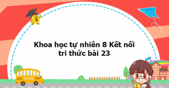 Khoa học tự nhiên 8 Kết nối tri thức bài 23 trang 95, 96, 97, 98