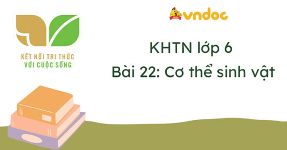 Khoa học tự nhiên lớp 6 Bài 22: Cơ thể sinh vật