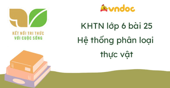 Khoa học tự nhiên lớp 6 bài 25: Hệ thống phân loại sinh vật