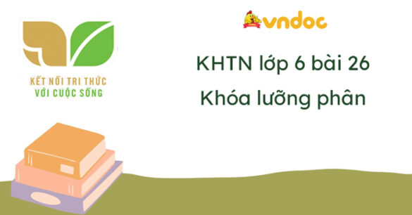 Khoa học tự nhiên lớp 6 bài 26: Khóa lưỡng phân