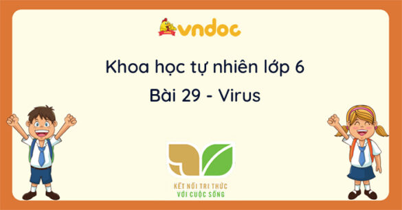 Khoa học tự nhiên lớp 6 Bài 29: Virus