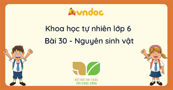 Khoa học tự nhiên lớp 6 bài 30: Nguyên sinh vật