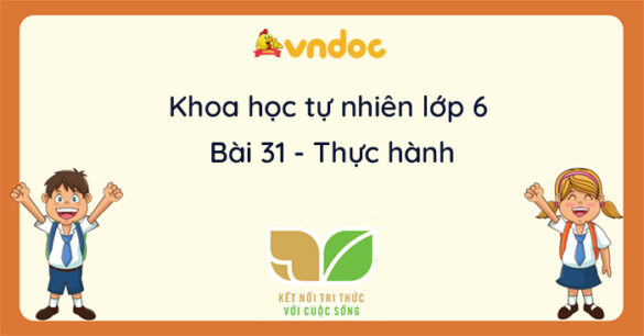 Khoa học tự nhiên lớp 6 bài 31: Thực hành Quan sát nguyên sinh vật