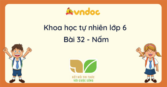 Khoa học tự nhiên lớp 6 bài 32: Nấm