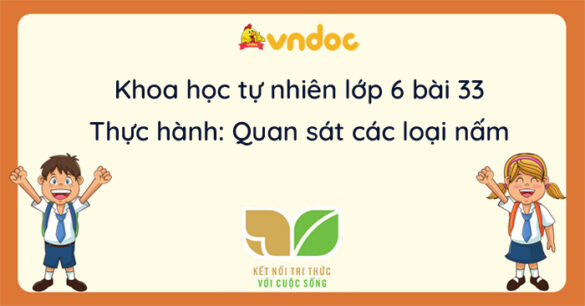 Khoa học tự nhiên lớp 6 Bài 33: Thực hành Quan sát các loại nấm