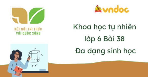 Khoa học tự nhiên lớp 6 Bài 38: Đa dạng sinh học