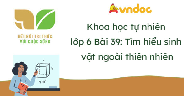 Khoa học tự nhiên lớp 6 bài 39: Tìm hiểu sinh vật ngoài thiên nhiên