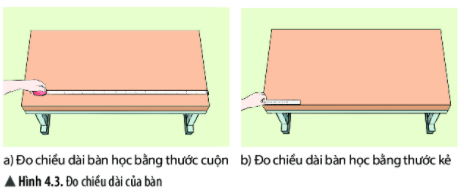 Giải KHTN 6 Chân trời sáng tạo bài 4