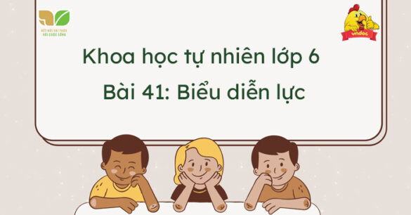 Khoa học tự nhiên lớp 6 bài 41: Biểu diễn lực