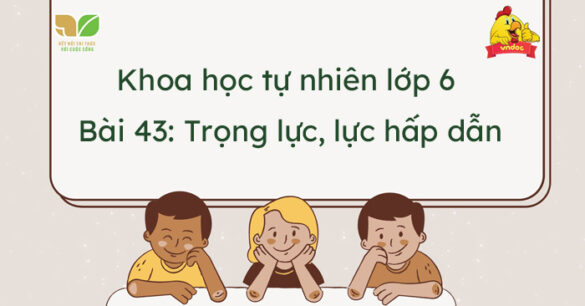 Khoa học tự nhiên lớp 6 Bài 43: Trọng lượng, lực hấp dẫn