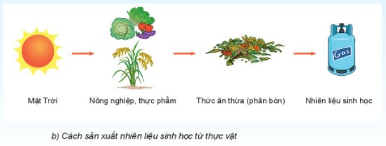 Khoa học tự nhiên lớp 6 bài 50