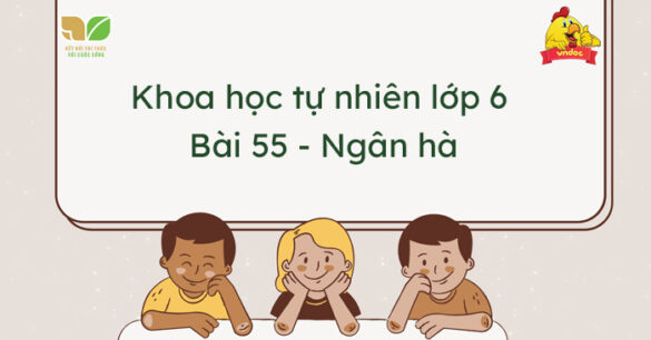 Khoa học tự nhiên lớp 6 Bài 55: Ngân hà