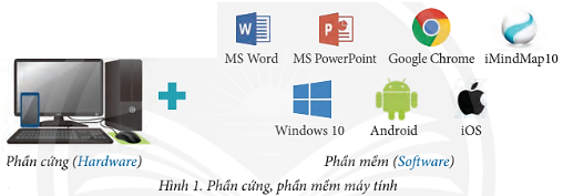 Theo em, cần cài đặt phần mềm nào để máy tính hoạt động được? Tại sao?