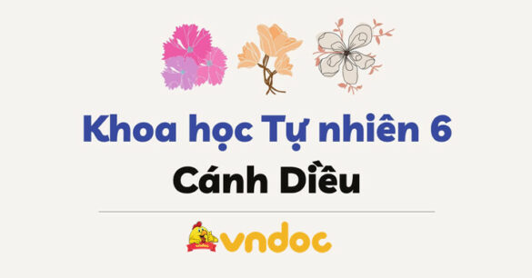 KHTN 6 Cánh diều