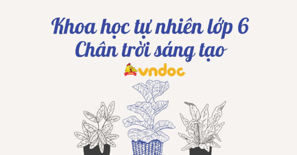 KHTN 6 Chân trời sáng tạo