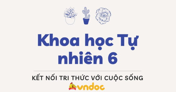 KHTN 6 Kết nối tri thức