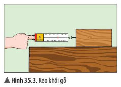 Giải KHTN lớp 6 bài 35 Hình 35.3