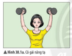 Giải KHTN lớp 6 bài 38 Hình 38.1a