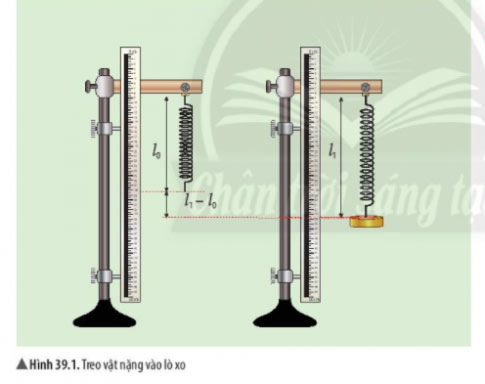 Giải KHTN lớp 6 bài 39