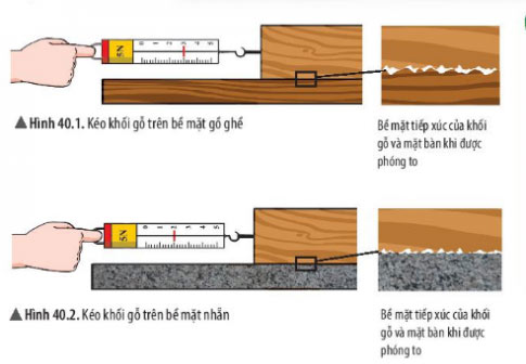 Giải KHTN lớp 6 bài 40 Hình 40.1 và 40.2