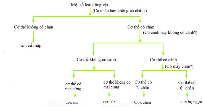 Giải KHTN lớp 6 bài 26