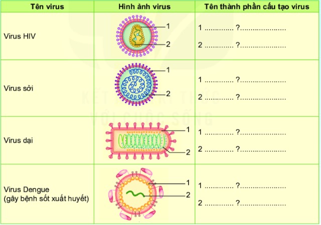 KHTN lớp 6 bài 29 sách KNTT