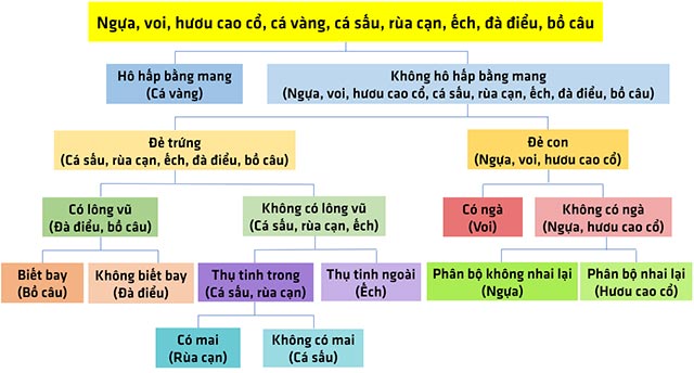 Giải KHTN lớp 6 bài 32