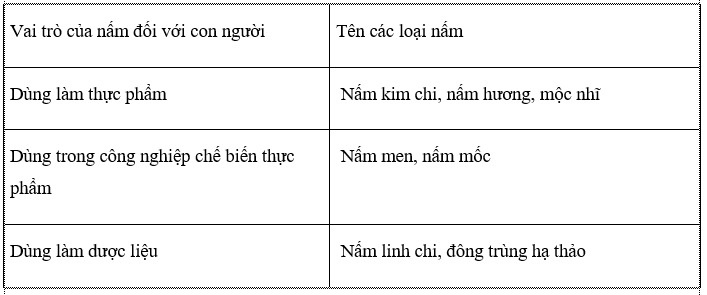 KHTN lớp 6 bài 32