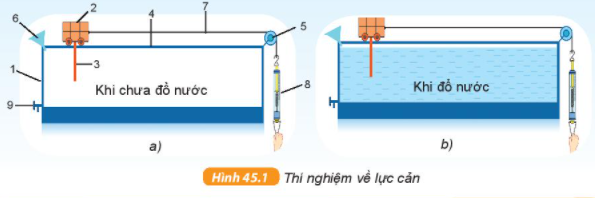 Giải KHTN lớp 6 bài 45