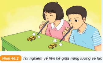 Giải KHTN lớp 6 bài 46