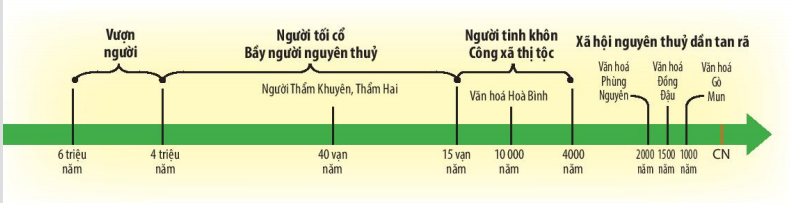 Lịch sử 6 bài 4 Nguồn gốc loài người Kết nối tri thức