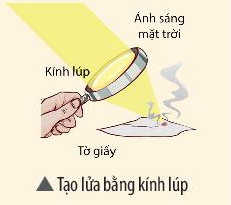 Luyện tập 1 trang 78 KHTN 7 CTST