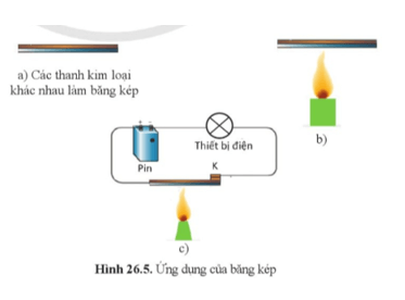 Khoa học tự nhiên 8