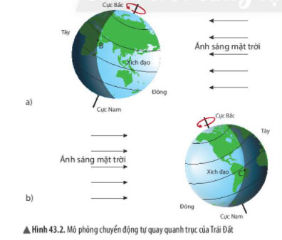 KHTN lớp 6 bài 43 Hình 43.2