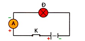 Khoa học tự nhiên 8