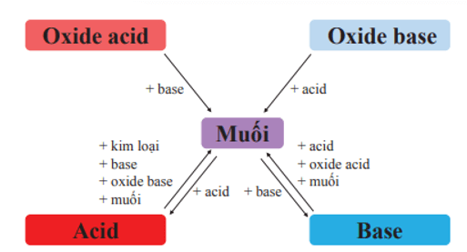 Khoa học tự nhiên 8 Chân trời sáng tạo bài 13 trang 62, 63, 64, 65, 66, 67, 68